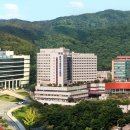 분당-400 이미지