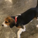 이재룡의 뭉개뭉개 유치원 이미지