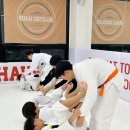 주짓수하우스 네이버블로그