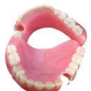 이화여자대학교 임상치의학대학원 이미지