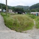 고성리-8 이미지