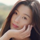 프로폴리 이미지