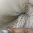 BB 동물병원 이미지