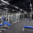 오늘의 마이핏 이미지