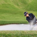 숲속골프 이미지