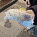 삼삼호떡 | 광명 하안동 간식 맛집 삼삼호떡 메뉴 추천 솔직 후기