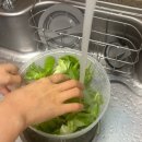 프렌치 스타일 유러피안 꽃다발 | 원에이커팜 유러피안 샐러드믹스 SET 솔직 후기｜김완선, 윤은혜 다이어트 샐러채소 김밥까지 완벽 활용!