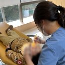 아이빌어린이집 이미지