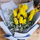 고운빛머리염색