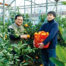 이영란농장 이미지