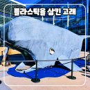 비치코밍통영 | 벡스코 플라스틱을 삼킨 고래 INC-5 상징 조형물 古來 감상 후기