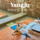 강아지영토 | 양주 계곡 맛집, 중형견도 가능한 애견 동반 식당 작은영토