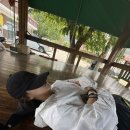 더불어사는 자연 2 네이버블로그