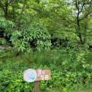 호수공원 제1주차장 공중화장실 이미지