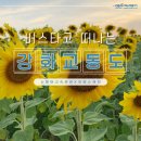 여행스케치 | 강화도 교동해바라기축제부터 조양방직 카페까지 여행스케치 이용 후기