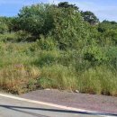 백산면사무소 이미지