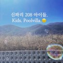 신파리208아이들 이미지