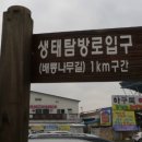 배롱나무길 네이버블로그