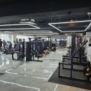 팀터틀랫김해 이미지
