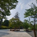 식장산 숲길 이미지