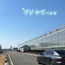 경남농업기술원 블루베리 교육 영상입니다. 이미지