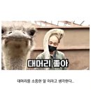 타조