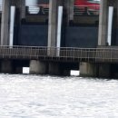 성산읍 한도교 이미지