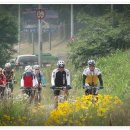 하이디하우스 이미지