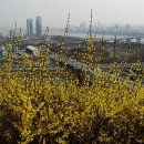 대현산관리사무소 이미지