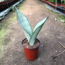 남사농장 이미지