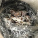 완두배기떡 부산떡집 떡택배 배달 선경떡방앗간 완두콩떡 맛있어요