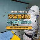 무지개펫케어