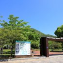 41호공원 | 강진군 - 강진 사당리 푸조나무, 강진 효정재