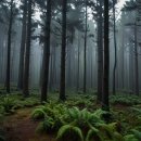 자연체계-산 이미지