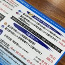 26년 02월 제주도 여행 일기 3일차