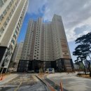 미라주포레스트