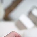 밀리언 로즈 가든 이미지