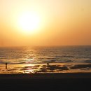 아일랜드리솜 이미지