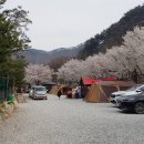 엉클캠프 네이버블로그