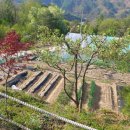 선애황토방 이미지