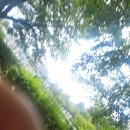 미미낙락 | 죽동 미미낙락 후기