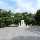 8.25일 종로의 나무와 역사이야기