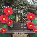 서천 동백정 동백꽃 관람 후기, 서해안에서 만나는 동백 명소