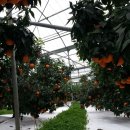 현승농장 이미지