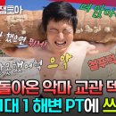 마다가스카르6_태어난김에 세계일주 이미지