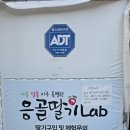 응골농장 | 강원도 속초 아기랑 가볼만한 곳 응골딸기랩 방문 후기