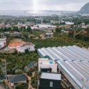 별시도룩 이미지