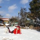 영산나루