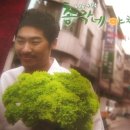 유기농 뮤지컬&#34;총각네 야채가게 시즌2&#34;