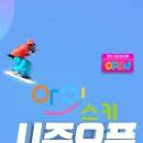 스키강습아이스키